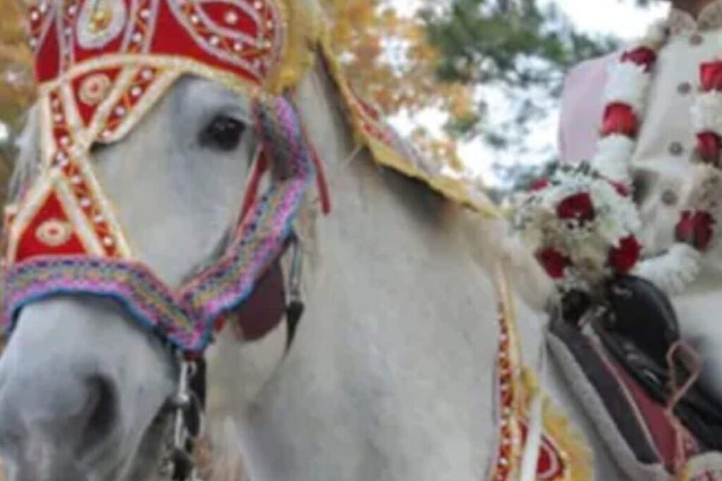 Police Outnumber 'Baraatis' To Ensure Peaceful Mare Ride For Dalit Groom In Rajasthan Village
