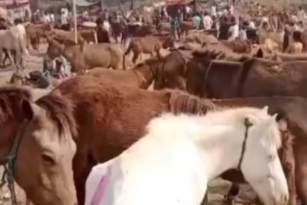 'Lawrence' Outsells 'Salman' And 'Shah Rukh' For Rs 1.25 Lakh At This Unique Event In UP