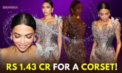 Mona Patel, After Met Gala Steals Spotlight At British Fashion Awards With A Rs 1.43 Crore Corset