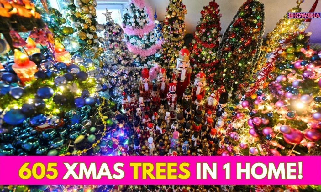 German Family Sets World Record After Decorating Home With 605 Christmas Trees | N18G