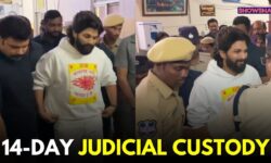 Allu Arjun Sent To 14-Day Judicial Custody Over Woman's Death In Hyderabad Stampede Case | WATCH