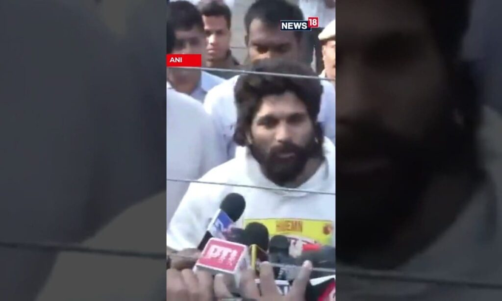 Allu Arjun Released From Jail After Interim Bail | Allu Arjun Arrest | News18 | N18S #shorts