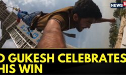 D Gukesh Latest | D Gukesh Celebrates His World Championship Win With A Bungee Jump | News18