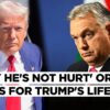 Orban Fears Assassination Bid On Trump Ahead Of Jan.20 Inauguration, Musk Backs Germany's AfD