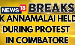 Tamil Nadu BJP President K Annamalai Held During Protest In Coimbatore | Annamalai News | News18