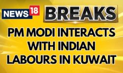 PM's Kuwait Visit: 'Hala Modi' Mega Diaspora Event | PM Modi Interacts With Indian Labours At Camp