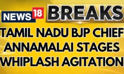 Chennai Student Sexual Assault Case : BJP's Tamil Nadu Chief, K Annamalai, Whips Himself 6 Times