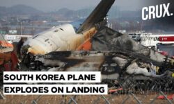 179 Feared Dead As Plane Crashes Into A Wall And Bursts Into Flames At South Korea's Muan Airport