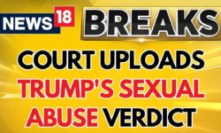 Federal Appeals' Court Uploads Donald Trump's Sexual Abuse Verdict, Plea Ejected | News18