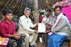 AP Pensions News: Govt Launches Verification Drive To Identify Ineligible Beneficiaries