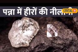 127 Diamonds Worth Rs 4 Crore To Go Under The Hammer At Panna Auction, Spotlight On 313-Carat Piece