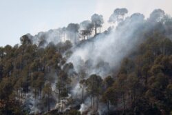 Uttarakhand Sees Highest Number Of Forest Fires, Alarming Spike In Cases Since Last Season