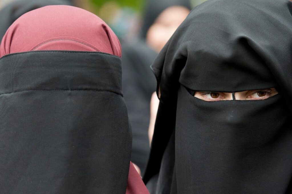 Face Cover Not Permitted Under BCI Dress Code For Women Advocates: J&K And Ladakh HC