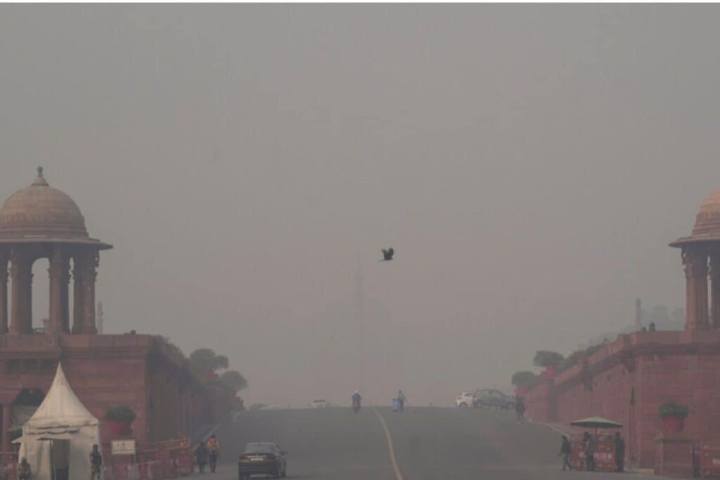 Layer Of Fog Blankets Delhi As Minimum Temperature Settles At 7.6°C, Air Quality 'Severe'