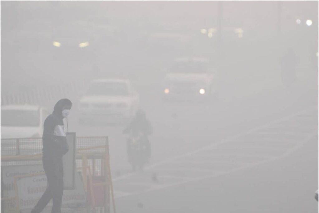 Light Rain, Dense Fog In Parts Of Delhi, Minimum Temperature Settles At 8.6°C