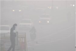 Light Rain, Dense Fog In Parts Of Delhi, Minimum Temperature Settles At 8.6°C