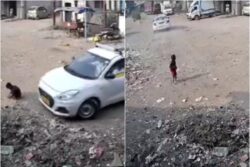 On Camera: 6-Year-Old Narrowly Escapes Death As Car Runs Over Him In Maharashtra's Vasai