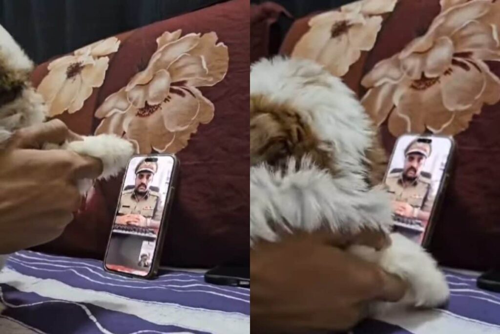 Mumbai Man Scams The Scammer, Puts Puppy In Front Of Camera When Asked To Show Face | Watch