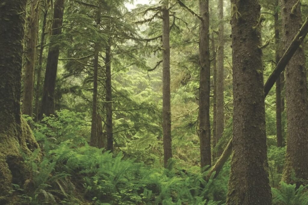 Over 100 Children Part Of School Tour Left Stranded After Dark For Hours In Dense UP Forest