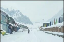 Kashmir Turns Into Winter Paradise After Fresh Spell Of Snowfall In Several Areas | Video