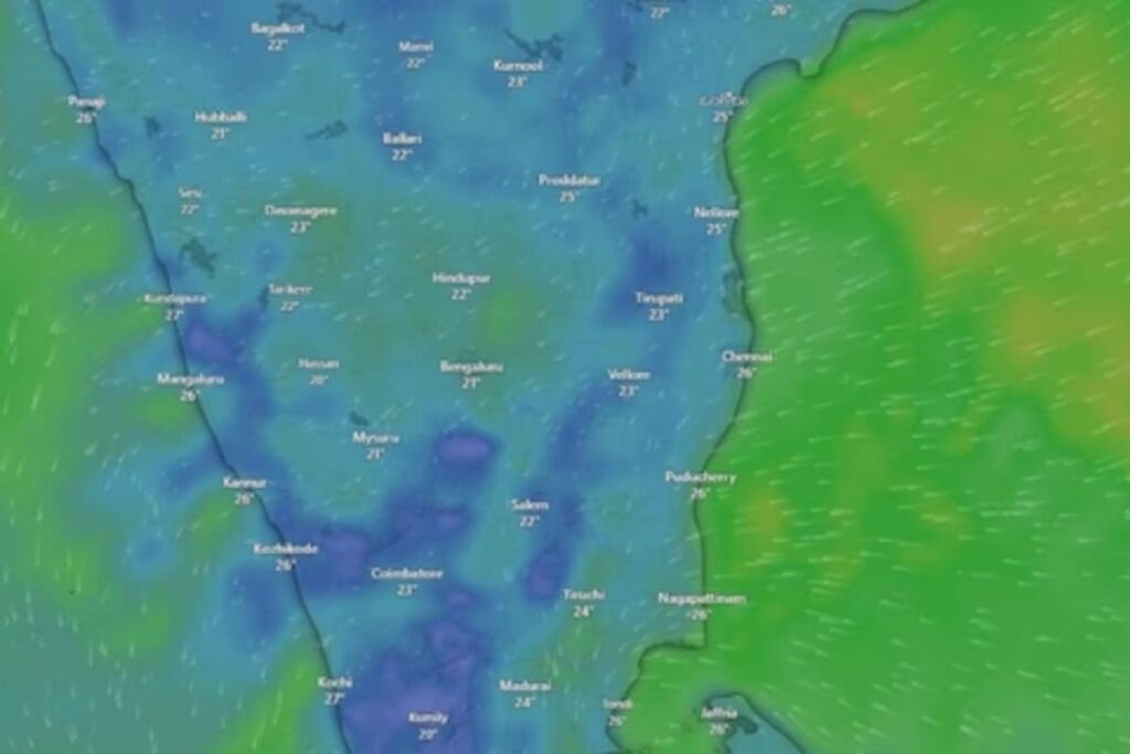 Chennai Weather Update: How Many More Days Of Heavy Rain In Tamil Nadu?