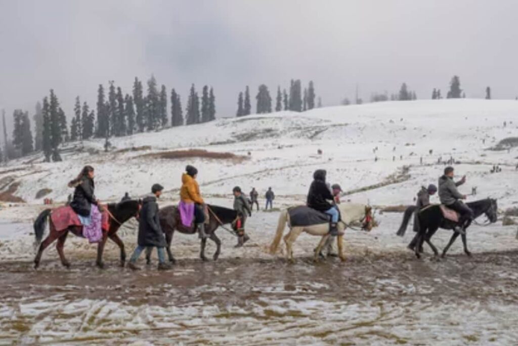 Dense Fog Blankets Parts of Kashmir As Mercury Dips Below Freezing Point