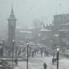 Watch: Snowfall Turns Srinagar Into A Surreal Winter Wonderland