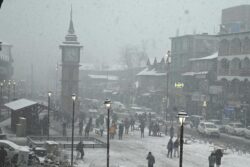 Watch: Snowfall Turns Srinagar Into A Surreal Winter Wonderland