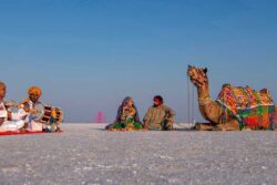 PM Narendra Modi Pitches For Kutch’s Rann Utsav: ‘Awaits You All’