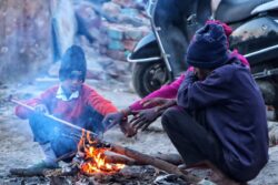 MP Weather: Bhopal Cold Breaks 58-Year Record As Night Temperature Dips To 3.3 Degrees