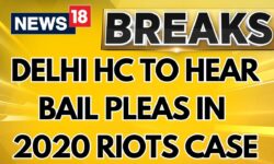 Delhi High Court To Hear Bail Pleas Of The Delhi Riots Case Where 53 People Died & 208 Cops Injured