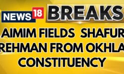 Delhi Elections 2024: AIMIM Fields Delhi Riots Accused Shafur Rehman From Okhla Constituency