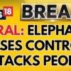 Kerala News: Elephant Loses Control, Attacks Person at Mosque | Over 12 Injured | Visuals | News18