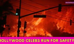 Hollywood Celebs Run For Safety As Major Wildfires Grip Los Angeles, Urge Fans To Be Safe I WATCH