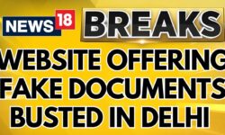 Delhi Assembly Elections | Websites Offering Fake Documents Busted By Delhi Police | News18