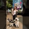 Rasha Thadani Gets Clicked With Her Cute Doggo, Poses For The Paps | Rasha Thadani Debut Movie |N18S