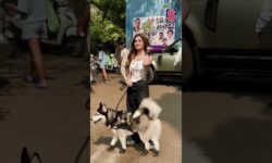 Rasha Thadani Gets Clicked With Her Cute Doggo, Poses For The Paps | Rasha Thadani Debut Movie |N18S