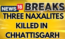 3 Naxalites Killed In Encounter With Security Forces In Chhattisgarh's Bijapur | Chhattisgarh News