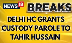 Delhi HC Grants Custody Parole To Tahir Hussain For Filing Nomination Papers For Assembly Polls