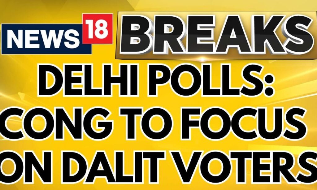 Delhi Elections 2025 | Congress Party To Focus On Dalit And Muslim Voters For Elections | News18