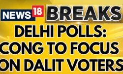 Delhi Elections 2025 | Congress Party To Focus On Dalit And Muslim Voters For Elections | News18