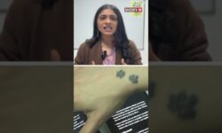 ChatGPT vs Gemini vs DeepSeek | AI Showdown | Chinese AI Model Challenge | #trending | N18S