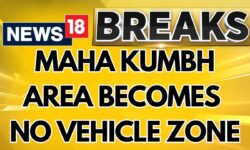 Kumbh Mela Grounds Declared No-Vehicle Zone, Handcarts Come To The Rescue | Prayagraj | News18