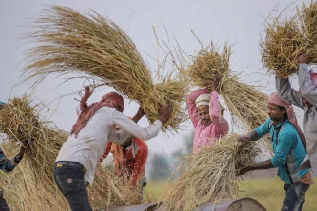 Budget 2025: Game-Changing Schemes Or Consistent Allocation | What's In Bahi-Khata For Agri Sector?