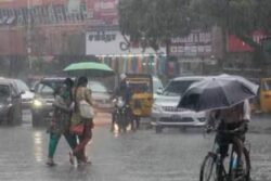 Chennai Weather: IMD Predicts Light To Moderate Rain Across Tamil Nadu For 6 Days