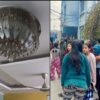 Ceiling Shaking, Panic: Social Media Users Share Videos As Earthquake Tremors Felt In Delhi-NCR