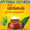 Happy Pongal 2025: Wishes, Images, Status, And WhatsApp Greetings In English And Tamil