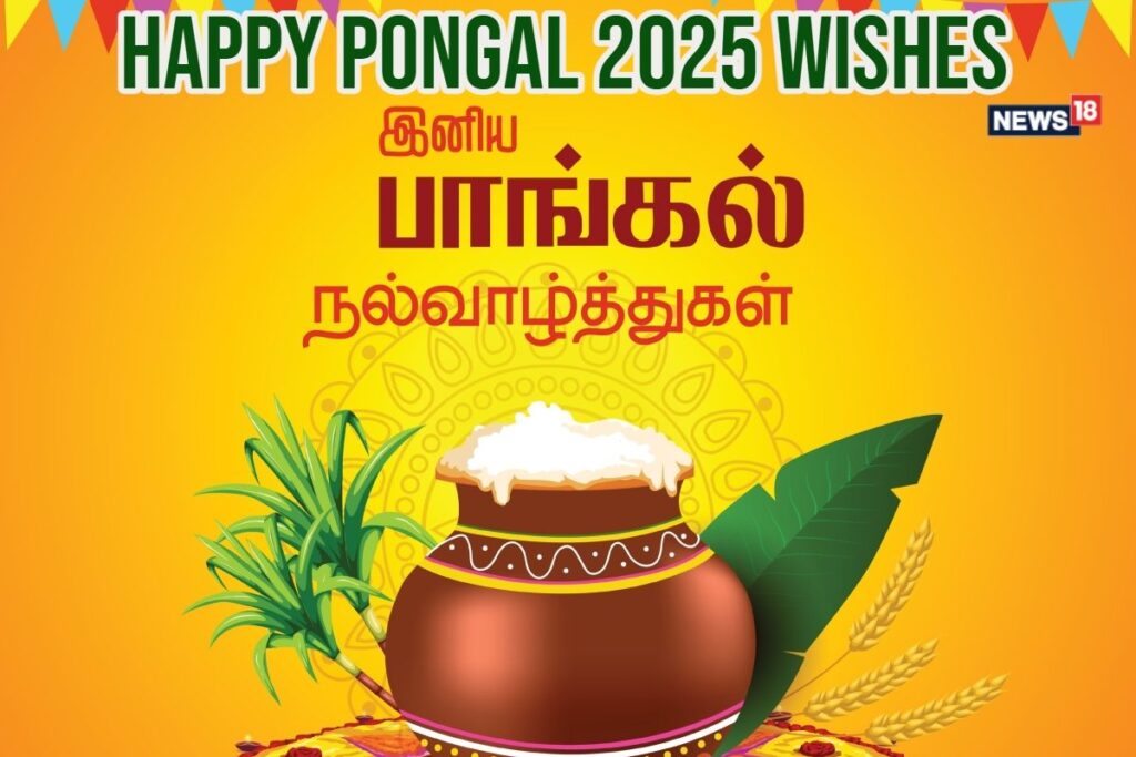 Happy Pongal 2025: Wishes, Images, Status, And WhatsApp Greetings In English And Tamil