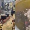 Mahakumbh 2025: Police Officer Faces Suspension After Seen ‘Mixing Ash’ In ‘Bhandara’ Food In Viral Video