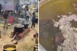 Mahakumbh 2025: Police Officer Faces Suspension After Seen ‘Mixing Ash’ In ‘Bhandara’ Food In Viral Video